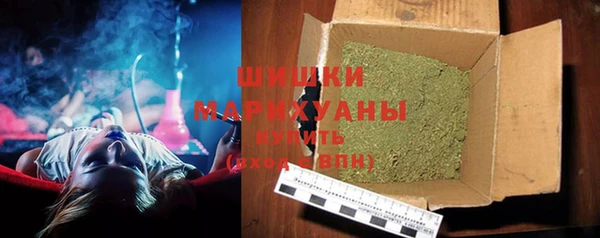 PSILOCYBIN Иннополис