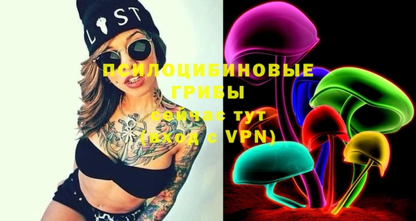 PSILOCYBIN Иннополис