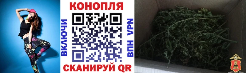 Купить где  Строитель  Шишки марихуана MAZAR 
